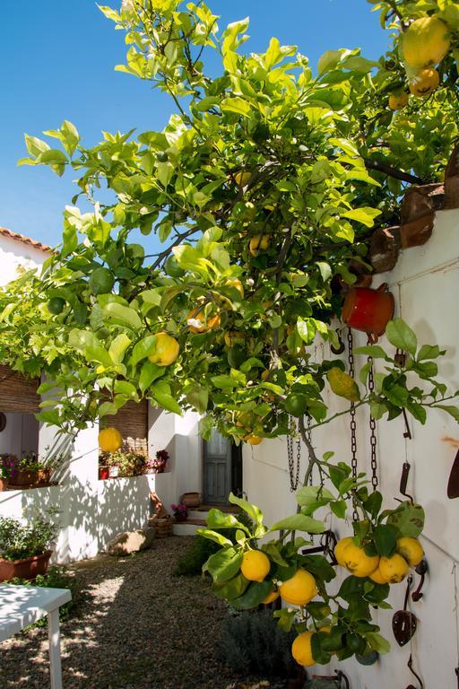 B&B Martina San Vito  Ngoại thất bức ảnh