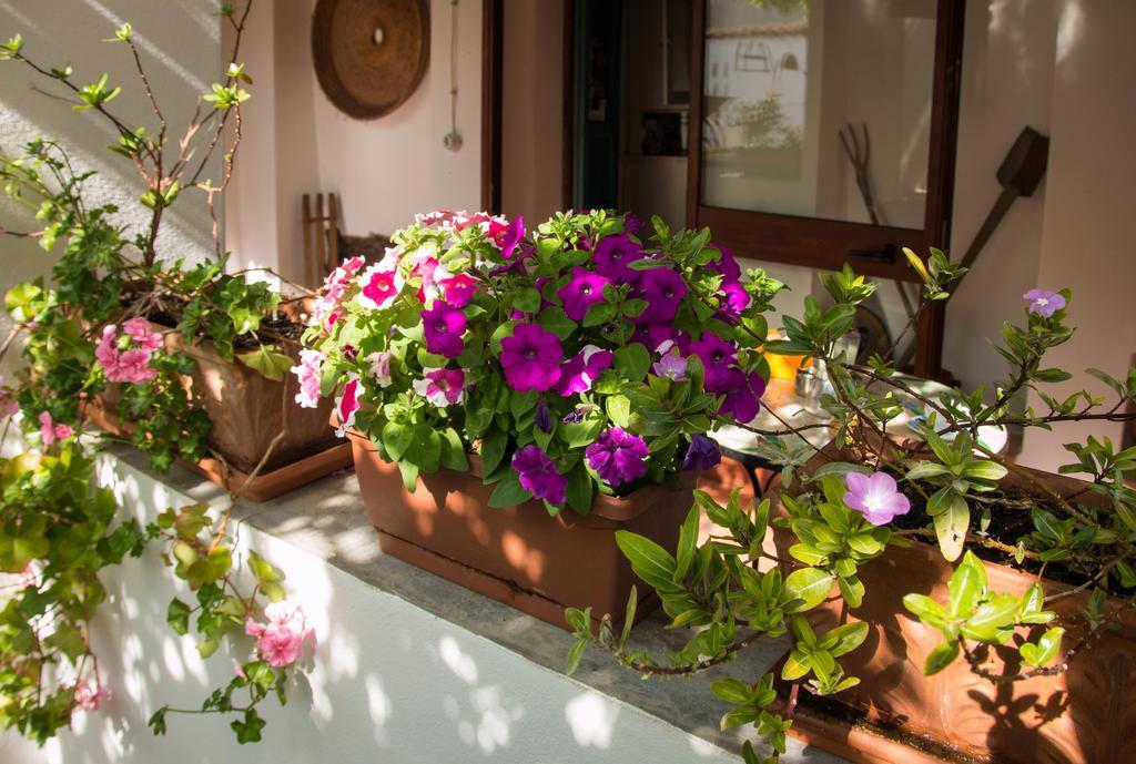 B&B Martina San Vito  Ngoại thất bức ảnh